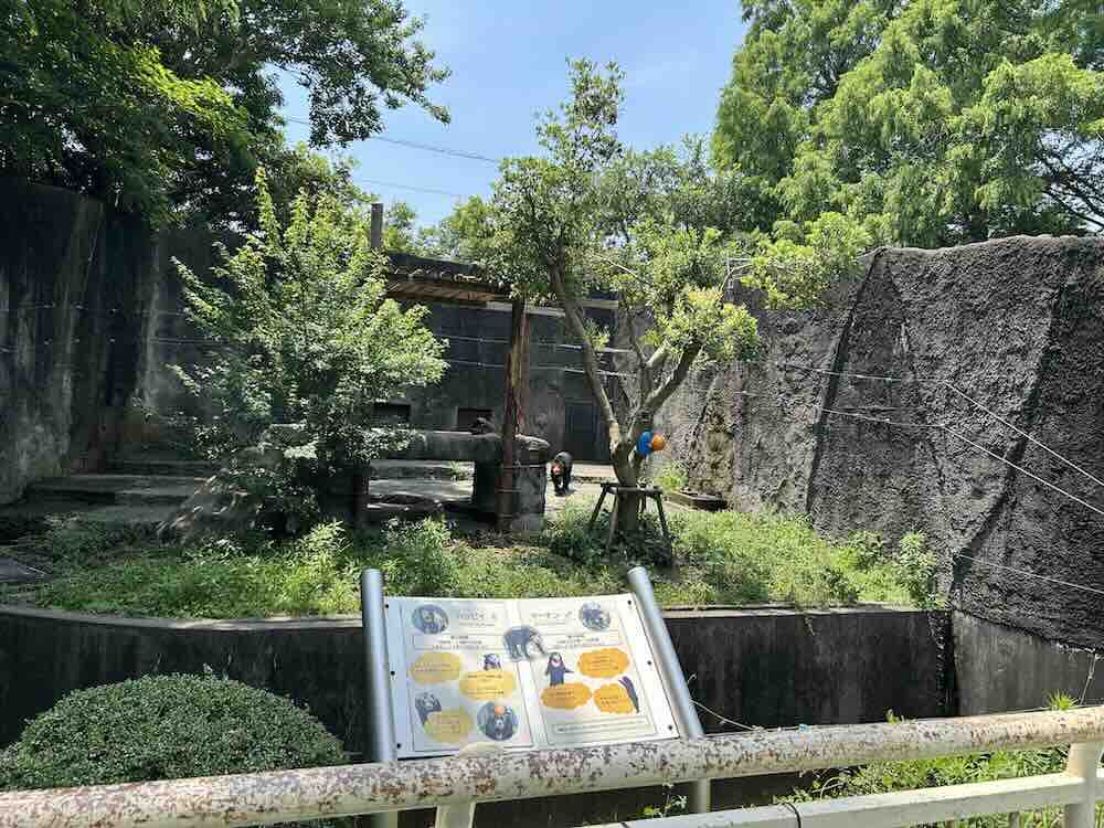 のんほいパーク マレーグマ