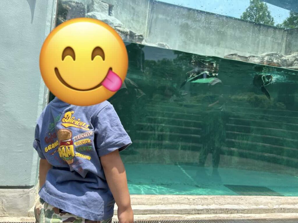 のんほいパーク ペンギン2