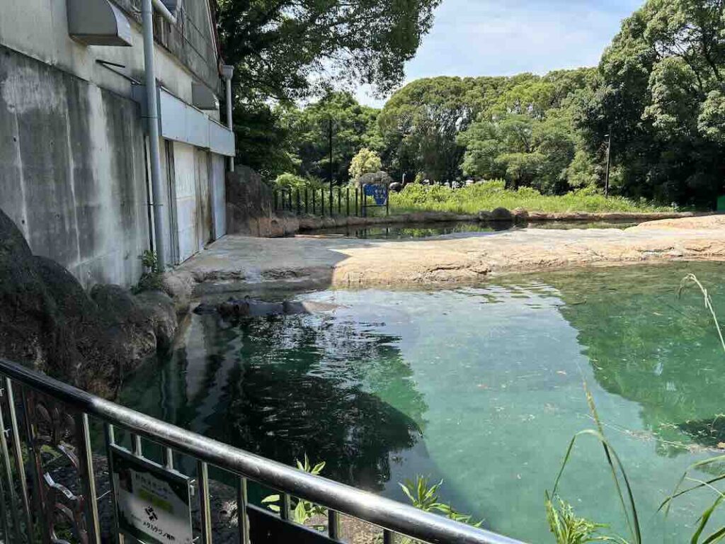 のんほいパーク かば