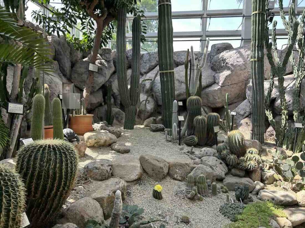 のんほいパーク 植物園2