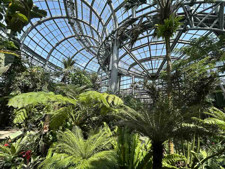 のんほいパーク 植物園3