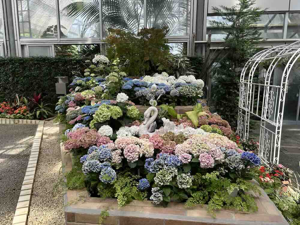 のんほいパーク 植物園7