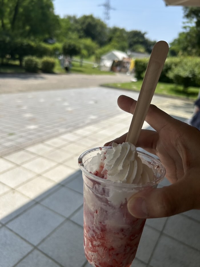 のんほいパーク いちご削り