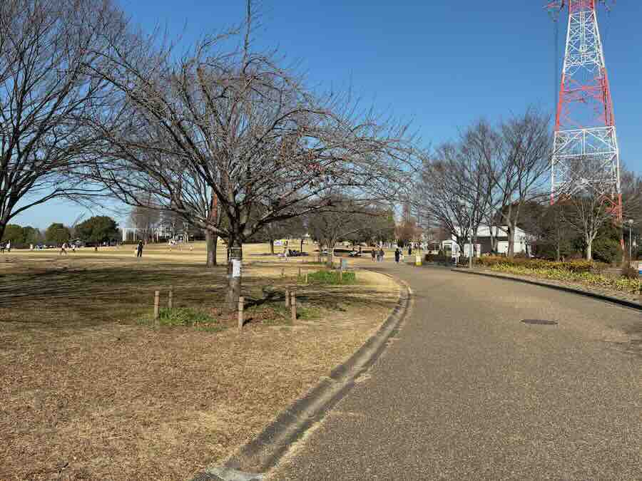 戸田川緑地公園　芝生エリア　キャリーカート