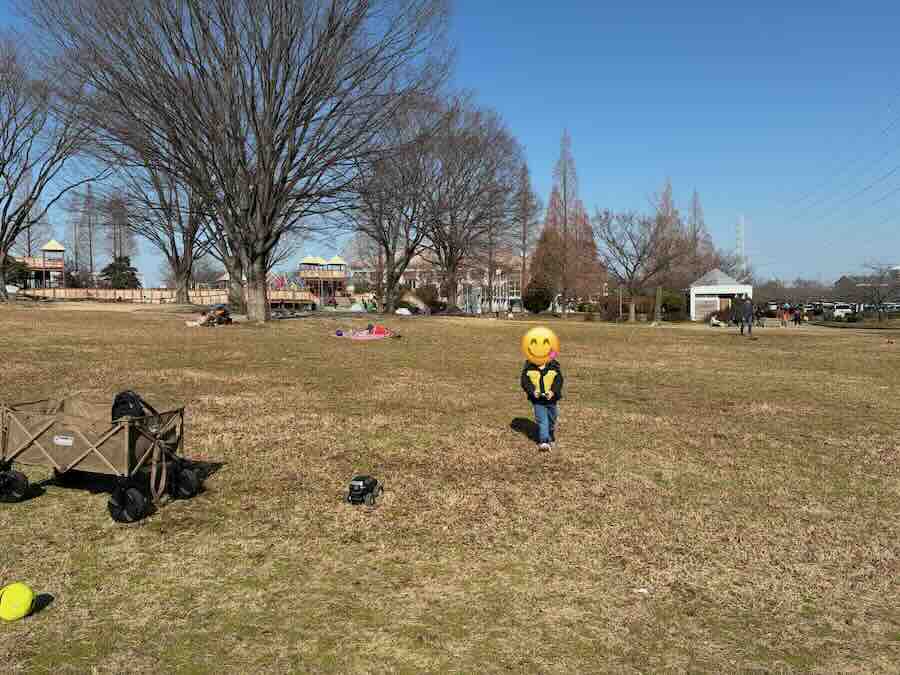 戸田川緑地公園　芝生エリア　ラジコン