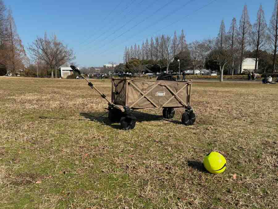 戸田川緑地公園　芝生エリア　カート