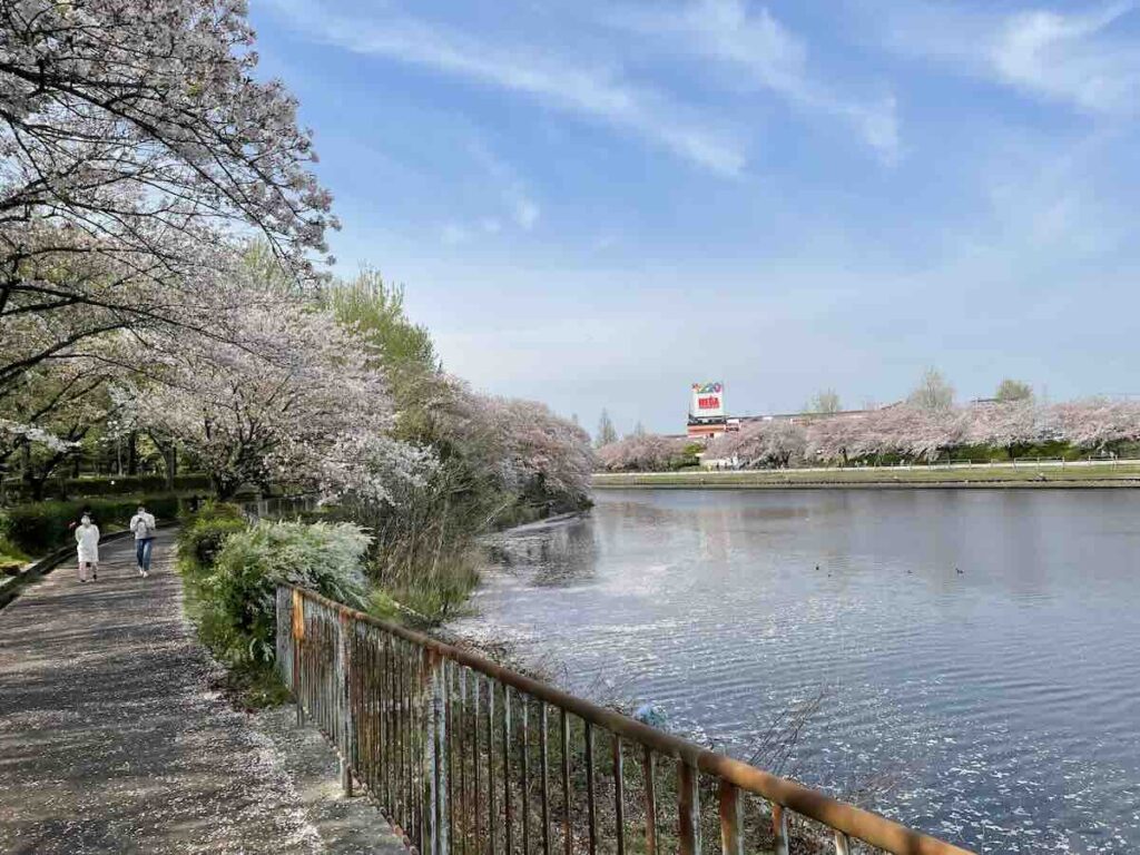 荒子川公園