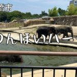 豊橋市のんほいパーク