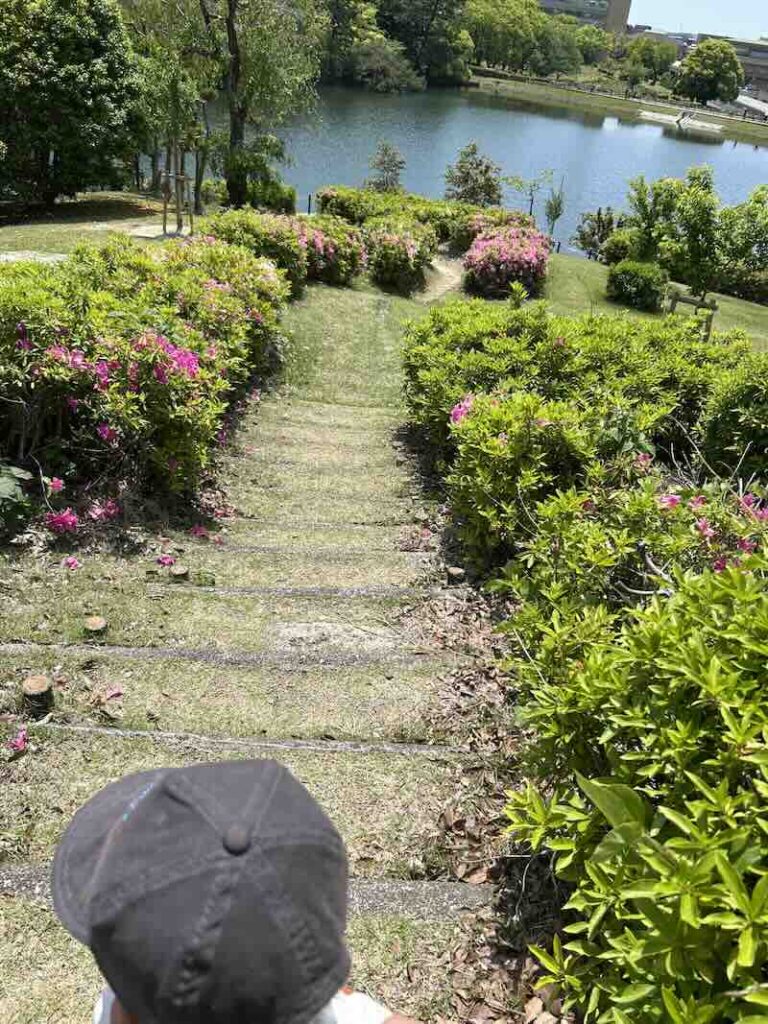 大池公園 花