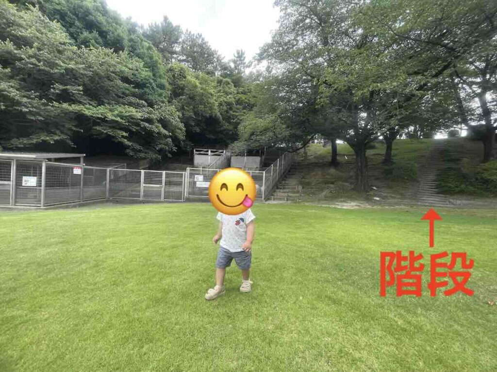 大池公園 階段