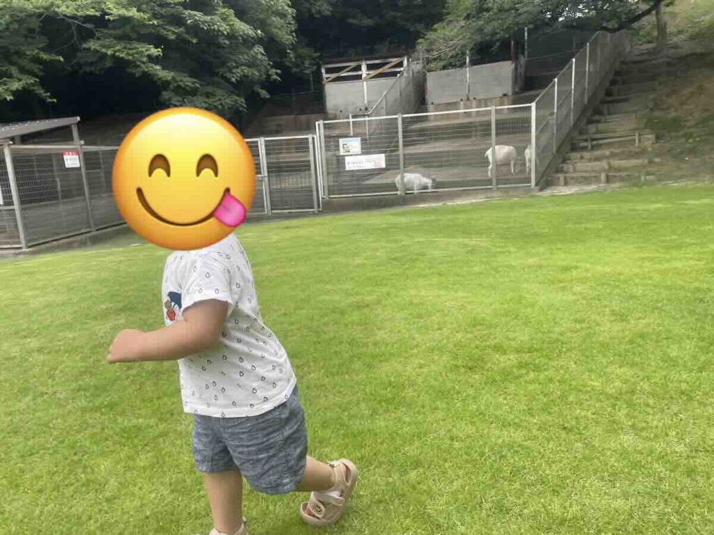 大池公園 芝生広場