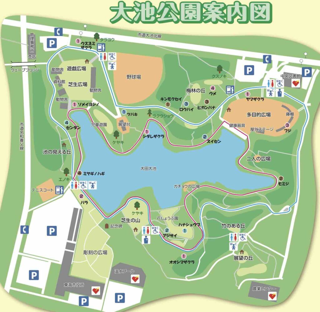 大池公園マップ