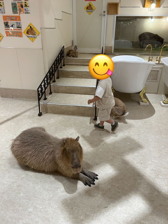 アニタッチ カピバラ 猫足風呂