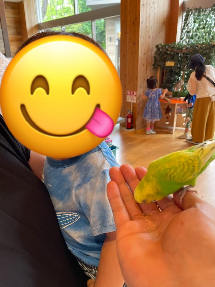メイカーズピア　オカメインコ