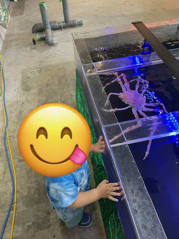 メイカーズピア　カニ