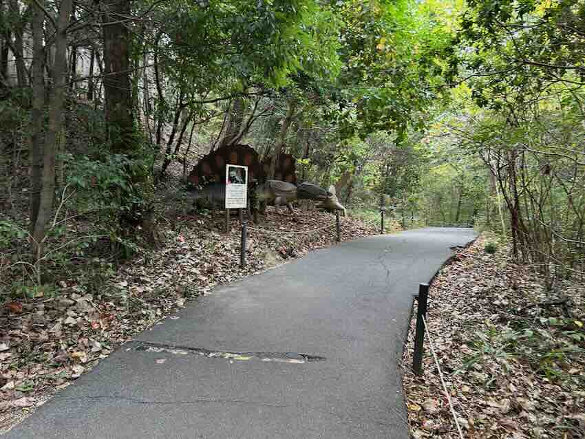 大高緑地公園　ディノアドベンチャー名古屋　道