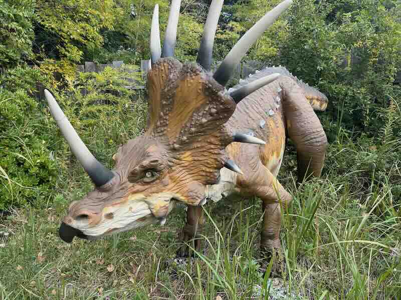 大高緑地公園　ディノアドベンチャー名古屋　トリケラトプス