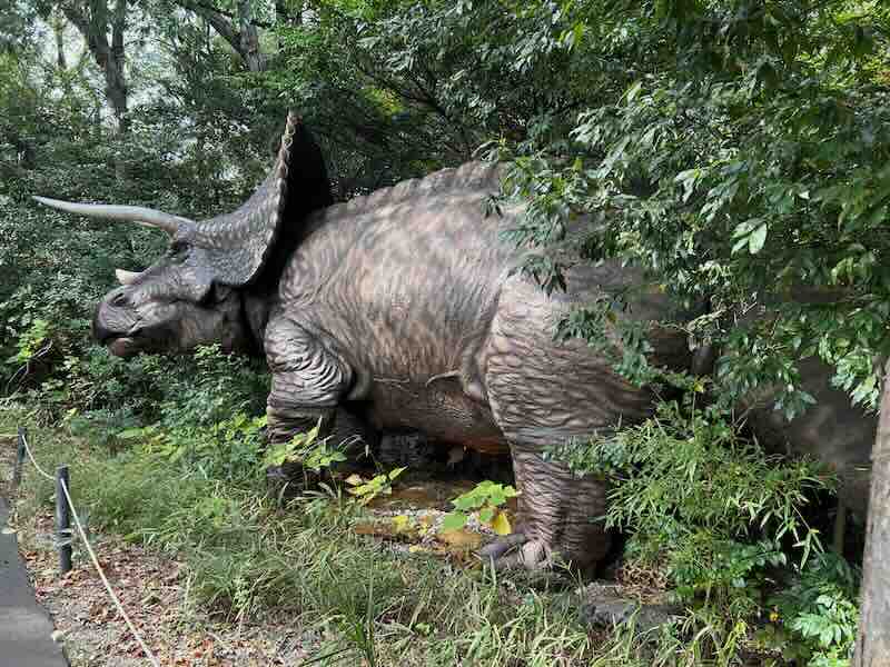 大高緑地公園　ディノアドベンチャー名古屋　トリケラトプス