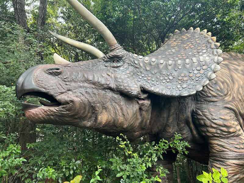 大高緑地公園　ディノアドベンチャー名古屋　トリケラトプス