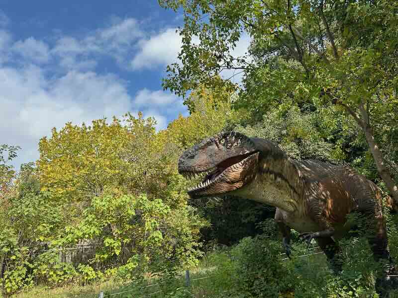 大高緑地公園　ディノアドベンチャー名古屋　T-REX