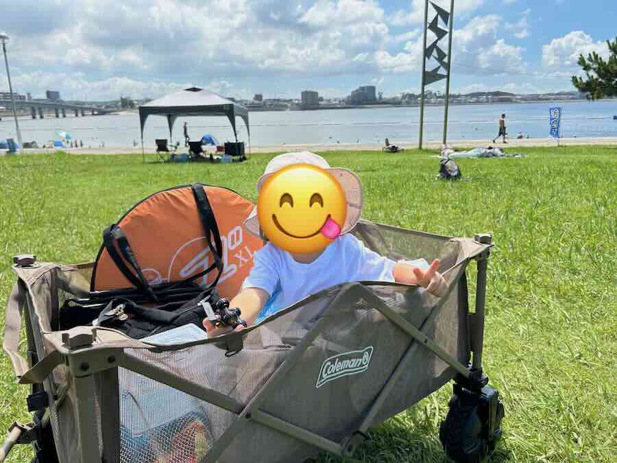 新舞子マリンパーク 芝生 ピクニック