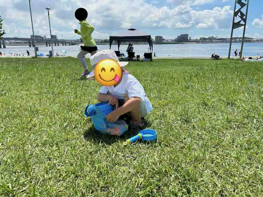 新舞子マリンパーク ビーチ ピクニック 芝生