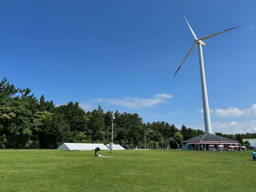 新舞子マリンパーク 芝生 ピクニック