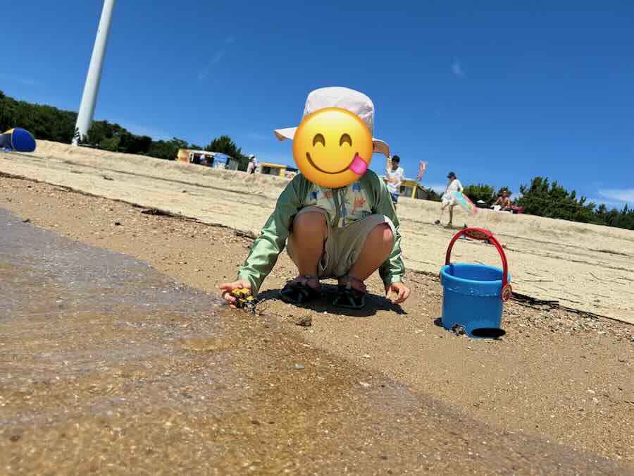 新舞子マリンパーク ビーチ ピクニック 芝生 海遊び 砂遊び