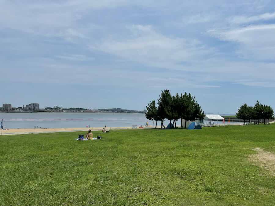 新舞子マリンパーク ビーチ ピクニック 芝生 海遊び 砂遊び 売店
