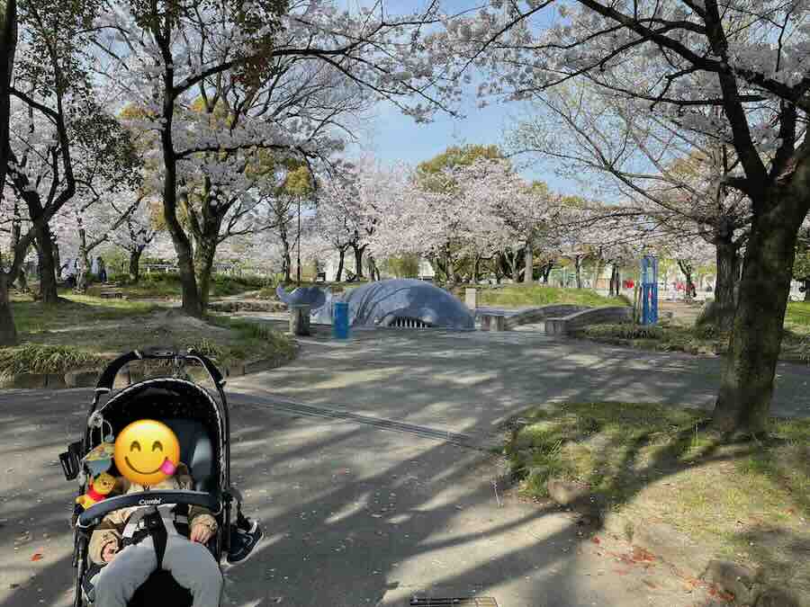 道徳公園　花見　桜