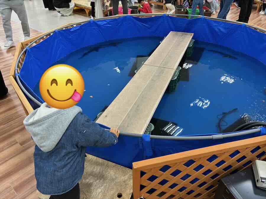 いきもの探検隊 リソラ大府店　サメ　かに　えび　ザリガニ釣り