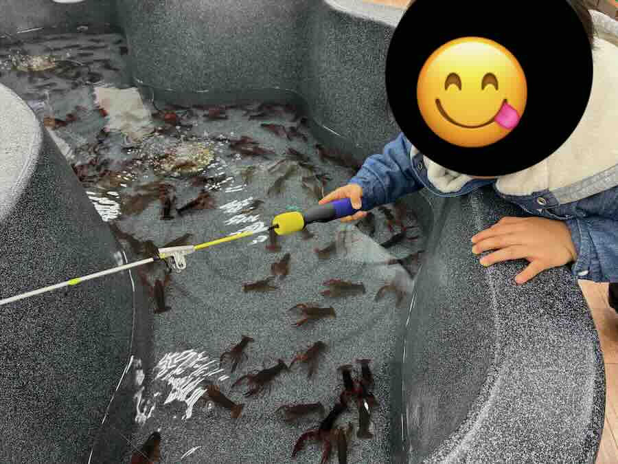 いきもの探検隊 リソラ大府店　サメ　かに　えび　ザリガニ釣り　チョウザメ
