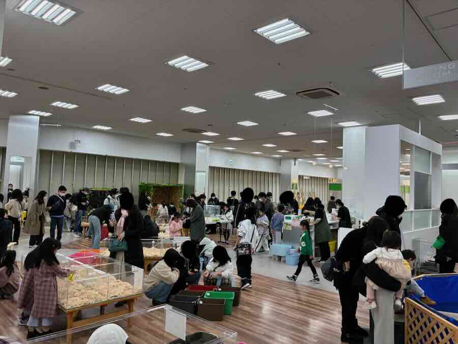 いきもの探検隊 リソラ大府店　施設内