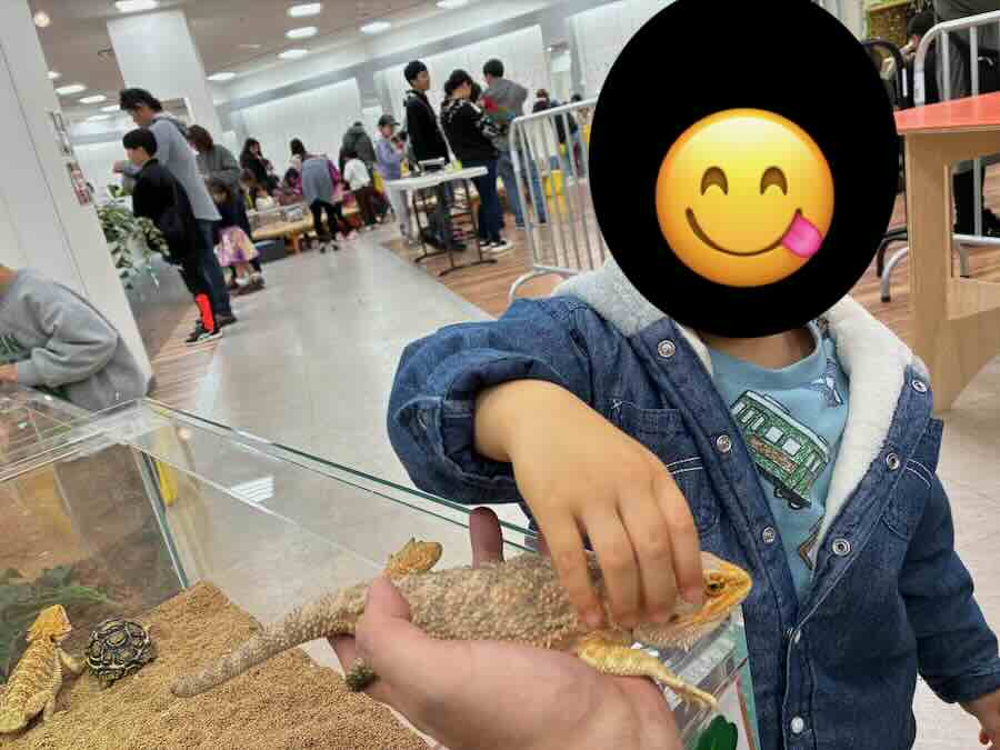 いきもの探検隊 リソラ大府店　爬虫類　蛇　トカゲ　カメレオン
