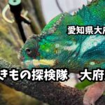 いきもの探検隊　リソラ大府店