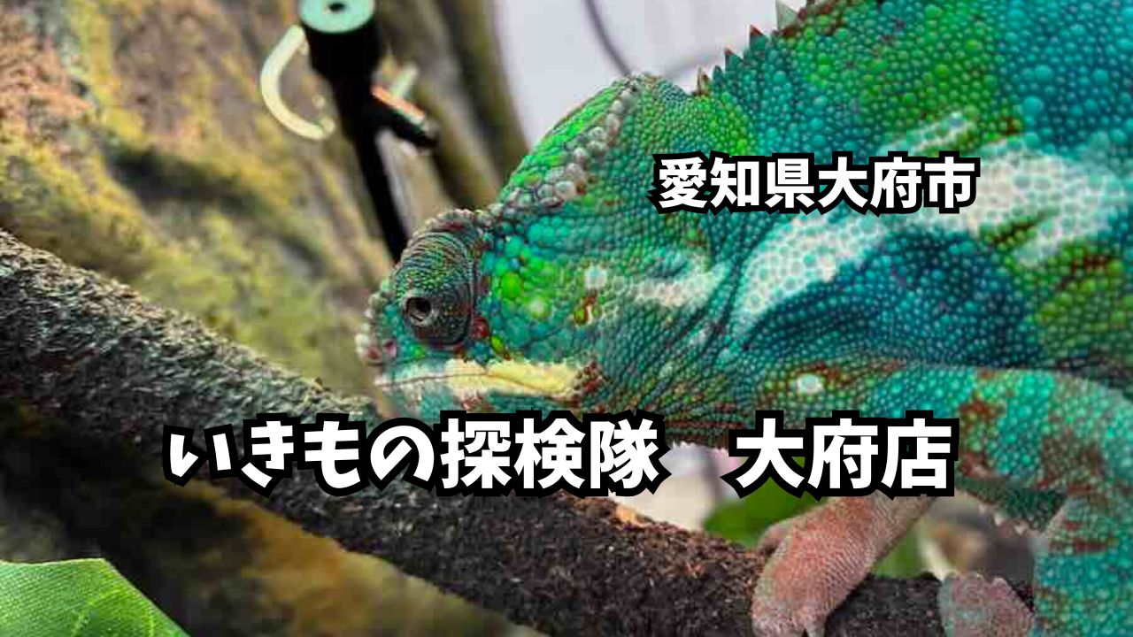 いきもの探検隊　リソラ大府店