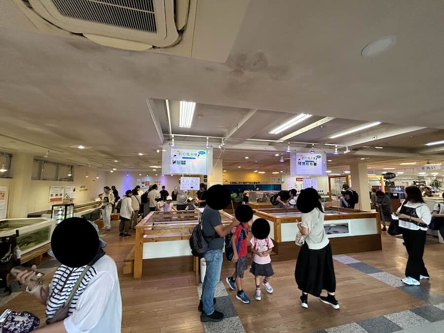 南知多ビーチランド＆おもちゃ王国　ふれあいおさかな館　釣り