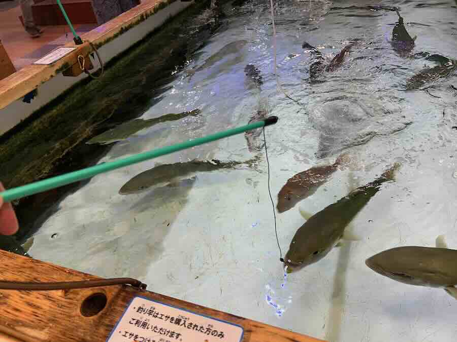 南知多ビーチランド＆おもちゃ王国　ふれあいおさかな館　釣り　エサ