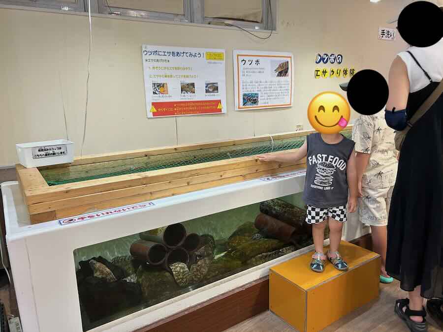 南知多ビーチランド＆おもちゃ王国　ふれあいおさかな館　ウツボ