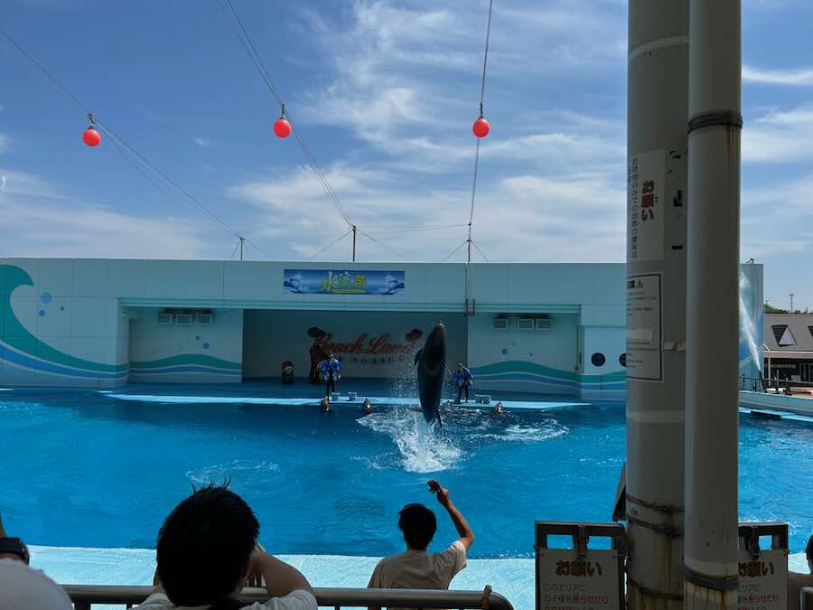 南知多ビーチランド＆おもちゃ王国　イルカ・アシカショー