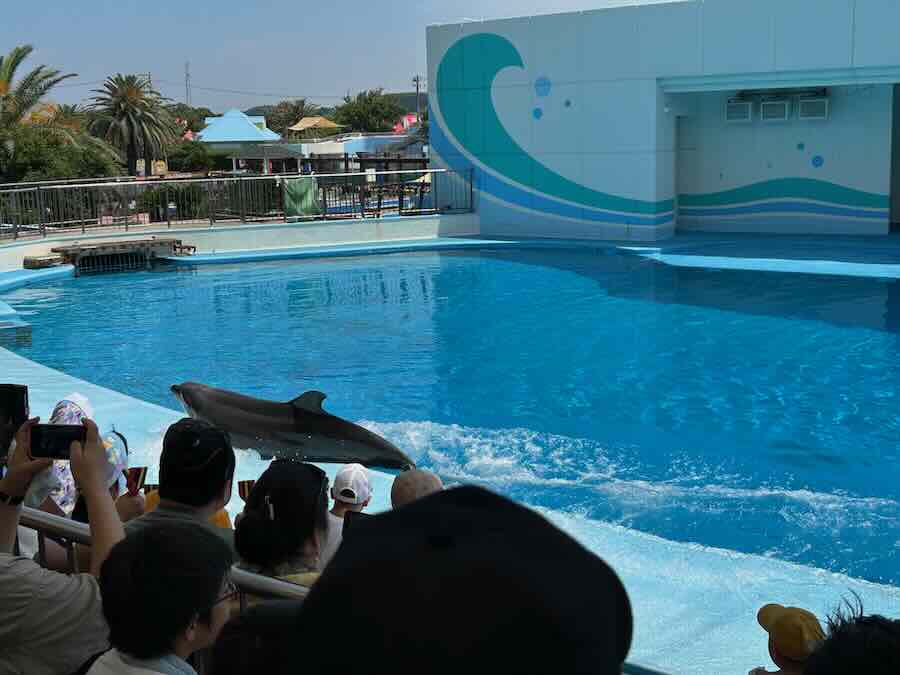 南知多ビーチランド＆おもちゃ王国　イルカ・アシカショー