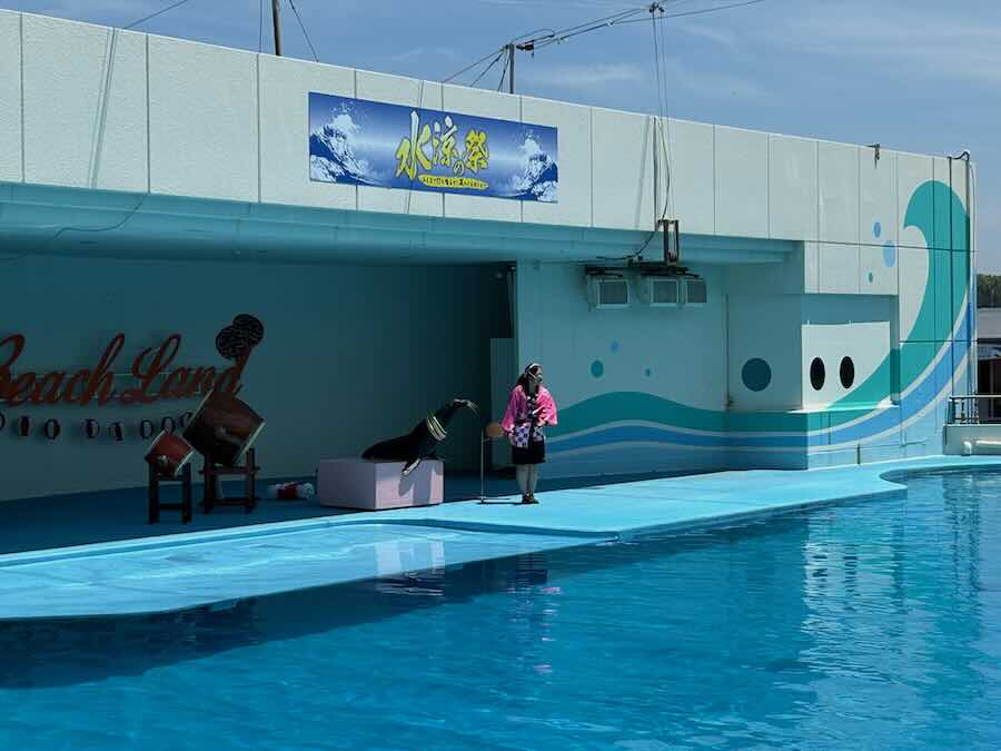 南知多ビーチランド＆おもちゃ王国　イルカ・アシカショー