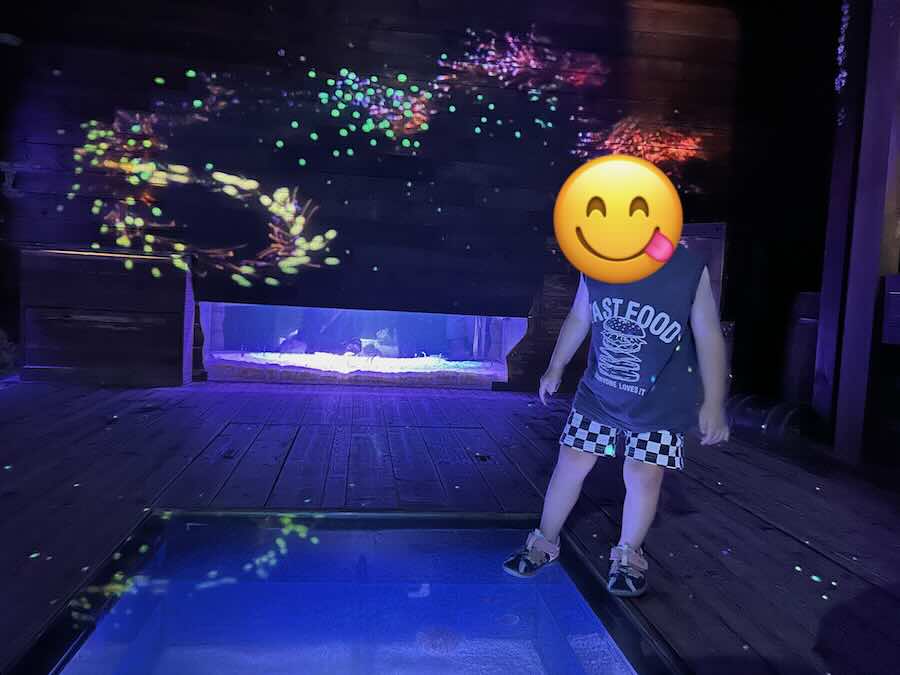 南知多ビーチランド＆おもちゃ王国　海洋館