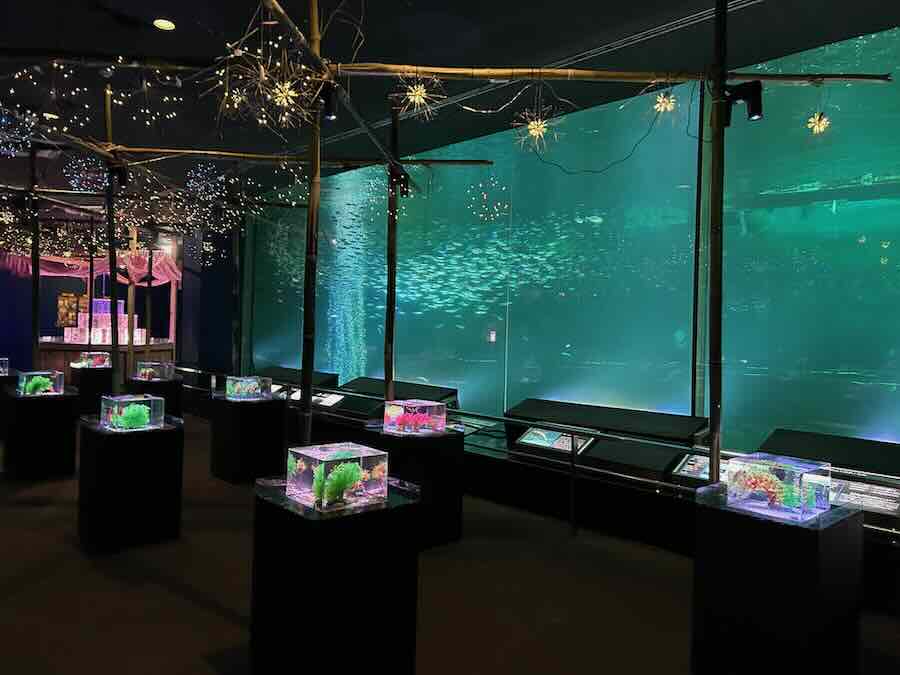 南知多ビーチランド＆おもちゃ王国　海洋館　イワシトルネード　金魚