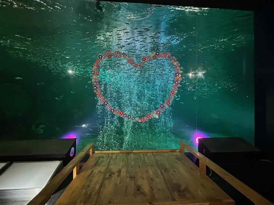 南知多ビーチランド＆おもちゃ王国　海洋館　イワシトルネード　金魚