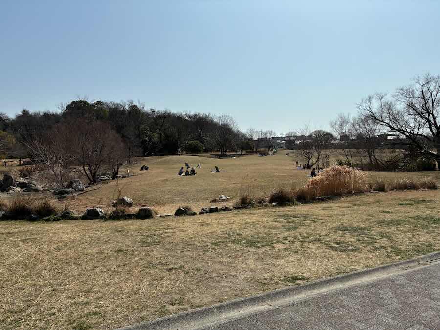 天白公園 子連れ ピクニック