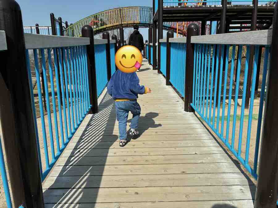 天白公園 遊具 ローラー滑り台 子連れ アスレチック 縄