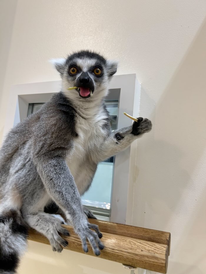 アニタッチ(ららぽーと名古屋みなとアクルス)) レビュー