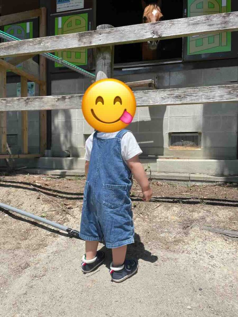 愛知牧場　子連れ　レビュー　動物ふれあい　餌やり体験