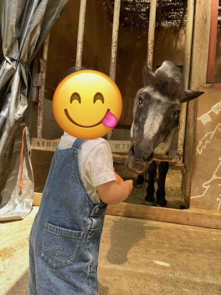 愛知牧場　子連れ　レビュー　動物ふれあい　餌やり体験